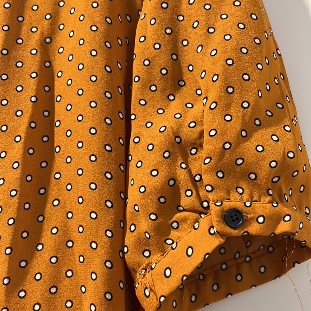 “Polka Dot Blouse”